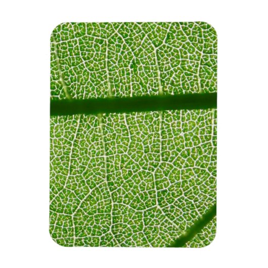 Magnet Flexible Fermer la feuille verte (Vertical)