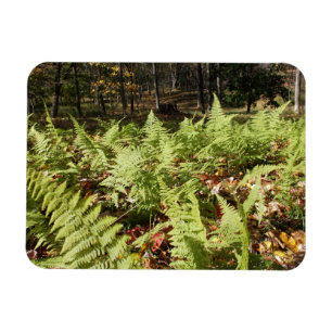Magnet Flexible Fermes d'automne
