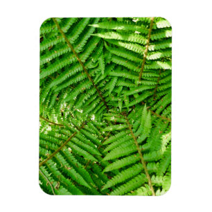 Magnet Flexible Fermes des bois