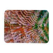 Magnet Flexible Fermes des bois (Horizontal)