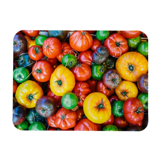 Magnet Flexible Fermes | Récolte colorée de tomates (Horizontal)