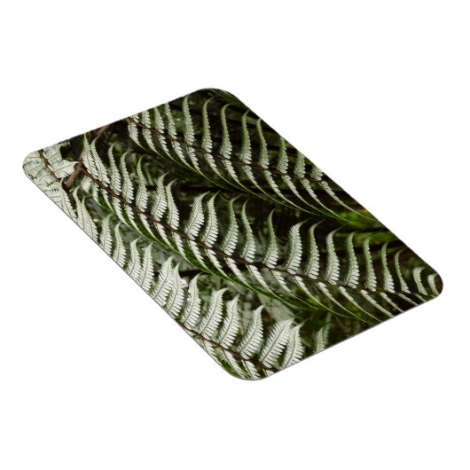 Magnet Flexible Fern Fronds II Dark Green Nature (Côté Droit)