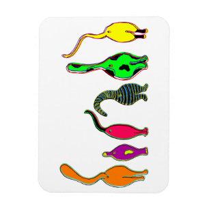 Magnet Flexible Fesses de chats colorés