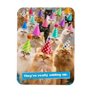 Magnet Flexible Fête de chats