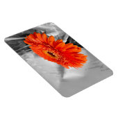 Magnet Flexible Feu sur les pétales (Côté Droit)