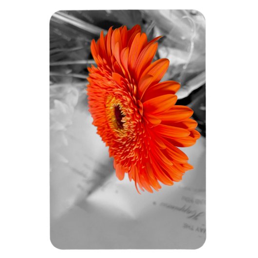 Magnet Flexible Feu sur les pétales (Vertical)