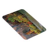 Magnet Flexible Feuillage d'automne le long de la rivière Virgin p (Côté Droit)