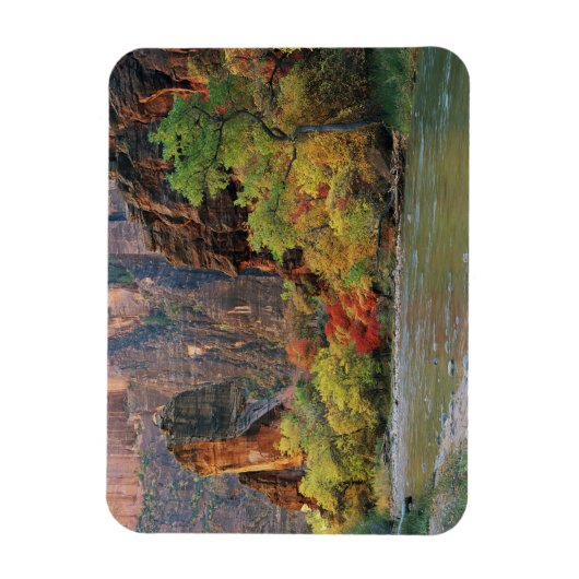 Magnet Flexible Feuillage d'automne le long de la rivière Virgin p (Vertical)