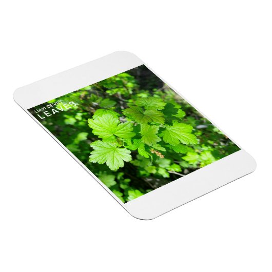 Magnet Flexible Feuille (Côté Droit)