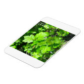 Magnet Flexible Feuille (Côté Gauche)