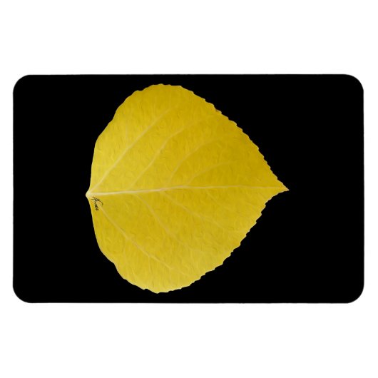Magnet Flexible Feuille d'Aspen jaune #5 (Horizontal)