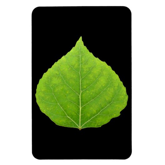 Magnet Flexible Feuille d'Aspen vert #11 (Vertical)