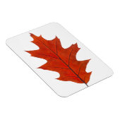 Magnet Flexible feuille d'automne de chêne rouge (Côté Droit)