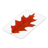 Magnet Flexible feuille d'automne de chêne rouge (Côté Gauche)