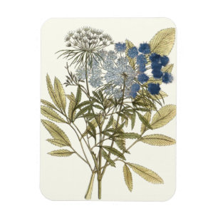 Magnet Flexible Feuille de dentelle - fleurs et verdure