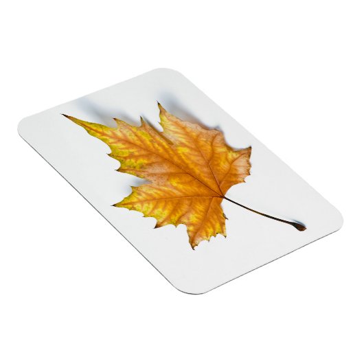 Magnet Flexible Feuille d'érable (Côté Droit)