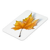 Magnet Flexible Feuille d'érable (Côté Gauche)
