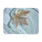 Magnet Flexible Feuille d'érable congelée sur glace (Horizontal)