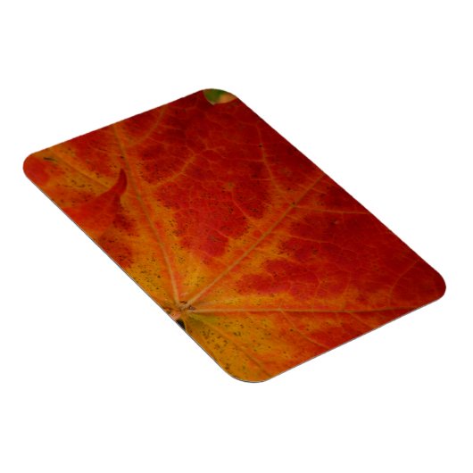 Magnet Flexible Feuille d'érable rouge Abstraite Automne Photograp (Côté Droit)