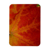Magnet Flexible Feuille d'érable rouge Abstraite Automne Photograp (Vertical)