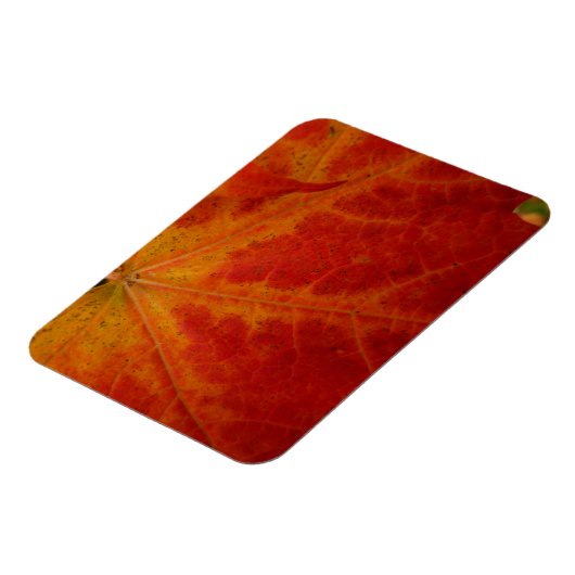 Magnet Flexible Feuille d'érable rouge Abstraite Automne Photograp (Côté Gauche)