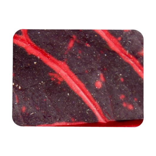 Magnet Flexible Feuille hawaïenne veinée rouge 3 (Horizontal)