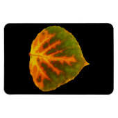 Magnet Flexible Feuille vert orange et jaune d'Aspen #1 (Horizontal)