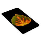 Magnet Flexible Feuille vert orange et jaune d'Aspen #1 (Côté Droit)