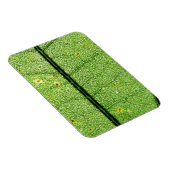 Magnet Flexible Feuille verte extrême (Côté Droit)