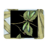 Magnet Flexible Feuilles à l'instigation de la libellule par Jenni (Horizontal)