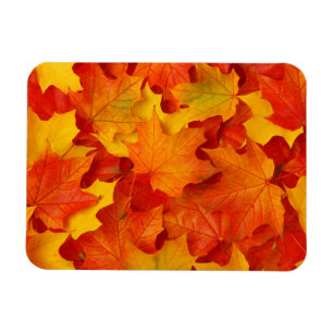 Magnet Flexible Feuilles automnales