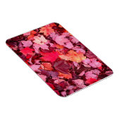 Magnet Flexible Feuilles d'automne colorées (Côté Droit)