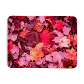 Magnet Flexible Feuilles d'automne colorées (Horizontal)
