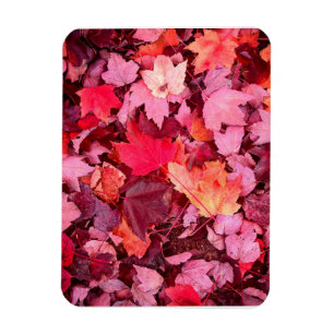 Magnet Flexible Feuilles d'automne colorées