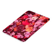 Magnet Flexible Feuilles d'automne colorées (Côté Gauche)