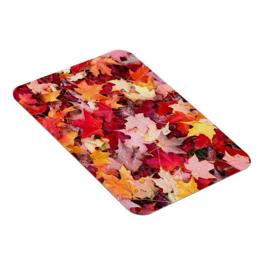Magnet Flexible Feuilles d'automne colorées (Côté Droit)