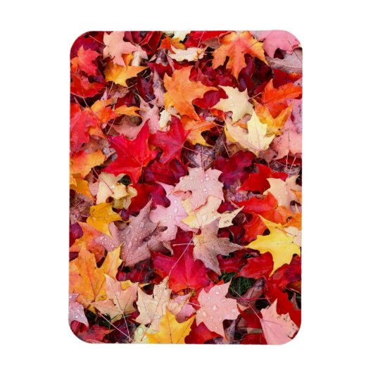 Magnet Flexible Feuilles d'automne colorées (Vertical)