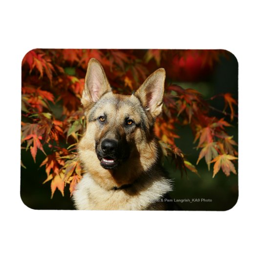 Magnet Flexible Feuilles d'automne du berger allemand (Horizontal)