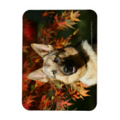 Magnet Flexible Feuilles d'automne du berger allemand (Vertical)