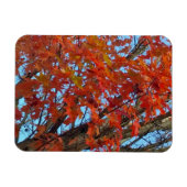Magnet Flexible Feuilles d'automne rouges (Horizontal)