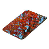 Magnet Flexible Feuilles d'automne rouges (Côté Gauche)