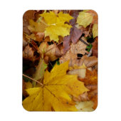 Magnet Flexible Feuilles de Érable Tombées Jaune Automne Nature (Vertical)