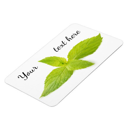 Magnet Flexible Feuilles de la monnaie (Côté Gauche)