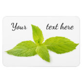 Magnet Flexible Feuilles de la monnaie (Horizontal)