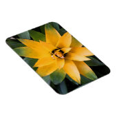 Magnet Flexible Feuilles jaunes plantes du jardin, (Côté Droit)