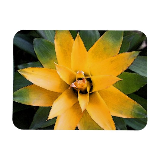 Magnet Flexible Feuilles jaunes plantes du jardin, (Horizontal)