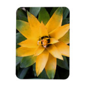 Magnet Flexible Feuilles jaunes plantes du jardin, (Vertical)