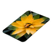 Magnet Flexible Feuilles jaunes plantes du jardin, (Côté Gauche)