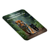 Magnet Flexible Fierce Feline amis dans le sondage (Côté Droit)