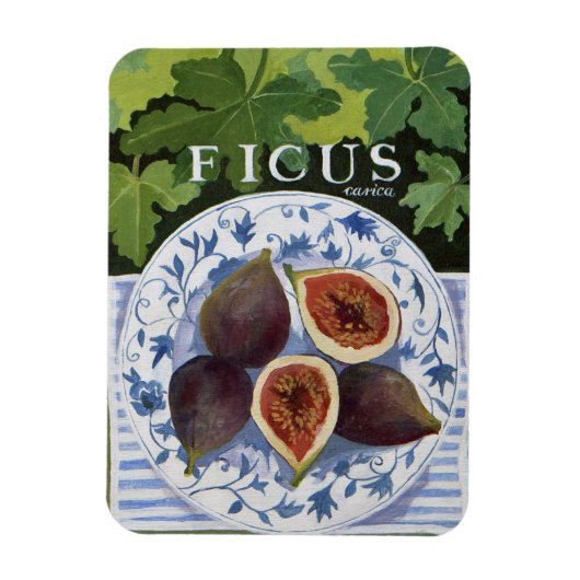 Magnet Flexible Fieus (Vertical)